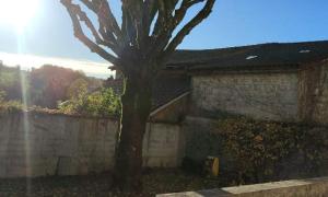 Taille d'arbre sur la commune de Tramoys