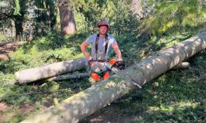 Abattage d'arbre dangereux sur la commune de Neuville-sur-Saône